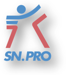 Logo SN.PRO